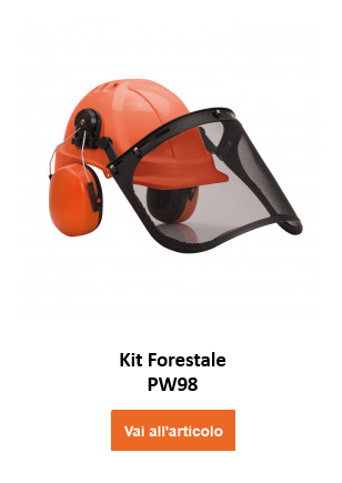 Immagine del set PW98 da operatore forestale in arancione con protezione acustica e visiera nera. Sotto c'è il nome dell'articolo e un pulsante arancione che porta all'articolo.